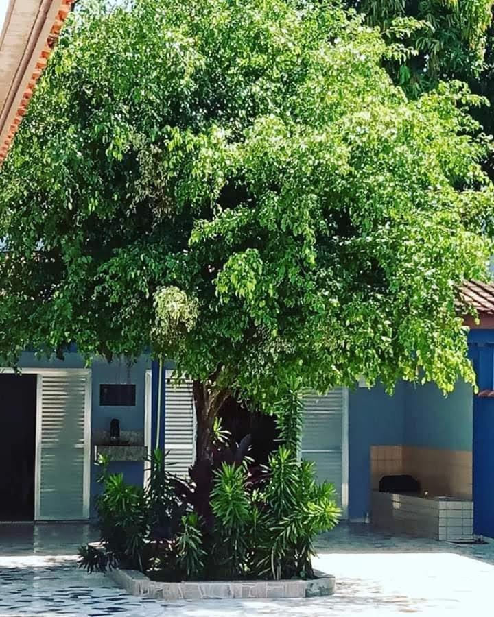 Colonia de Férias Derivados de Petróleo. Praia Grande  Exterior foto